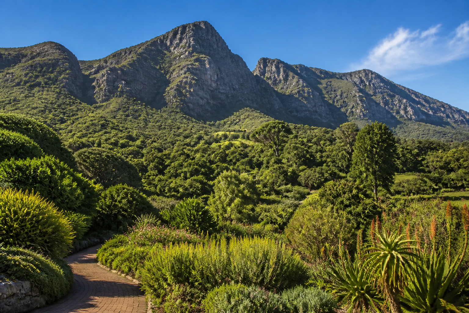 Kirstenbosch Botanical Garden with Table Mountain rising behind the gardens