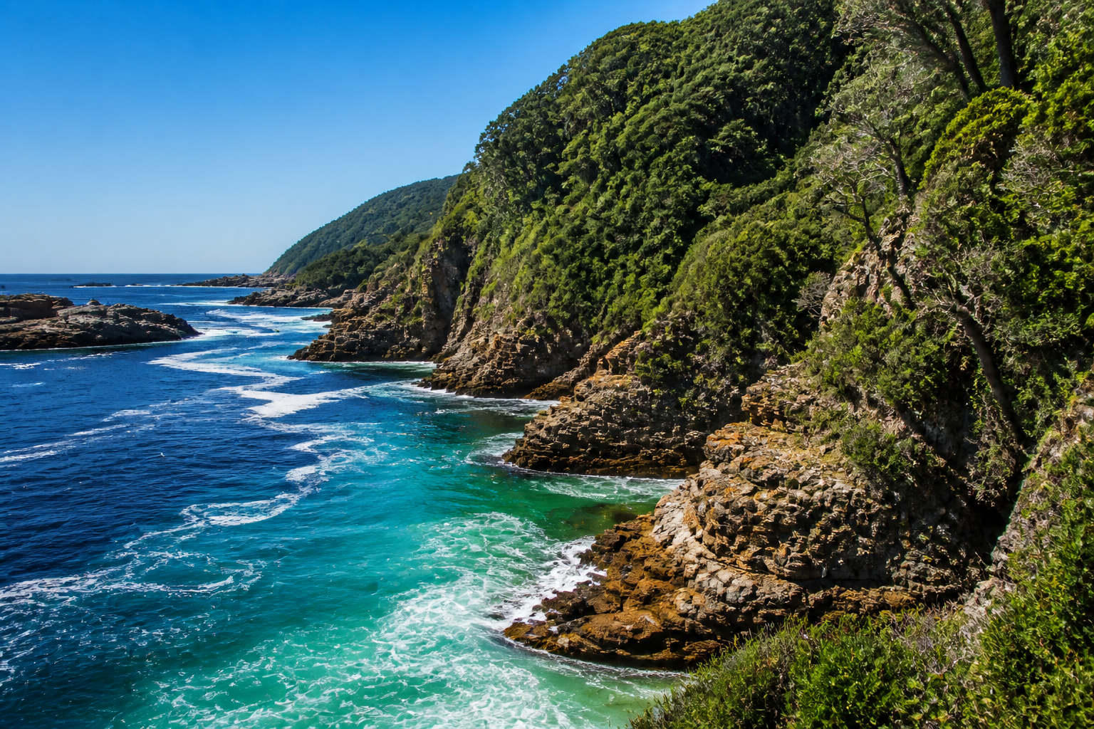Tsitsikamma forested cliffs meeting turquoise Garden Route ocean