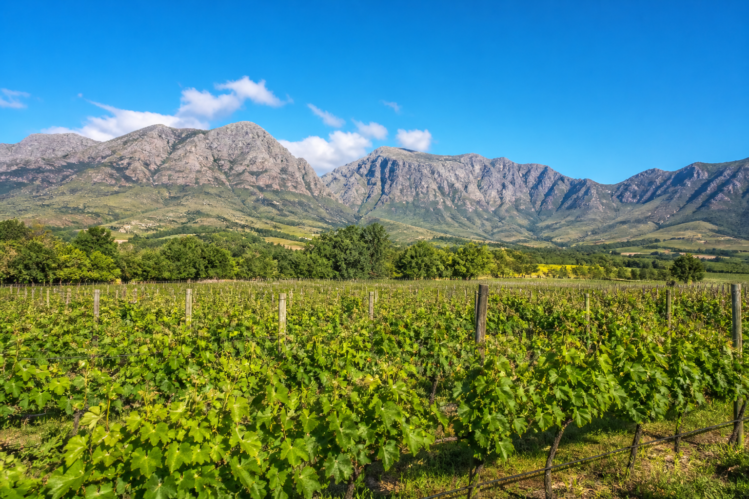 Franschhoek valley vineyards with Cape Winelands mountains beyond